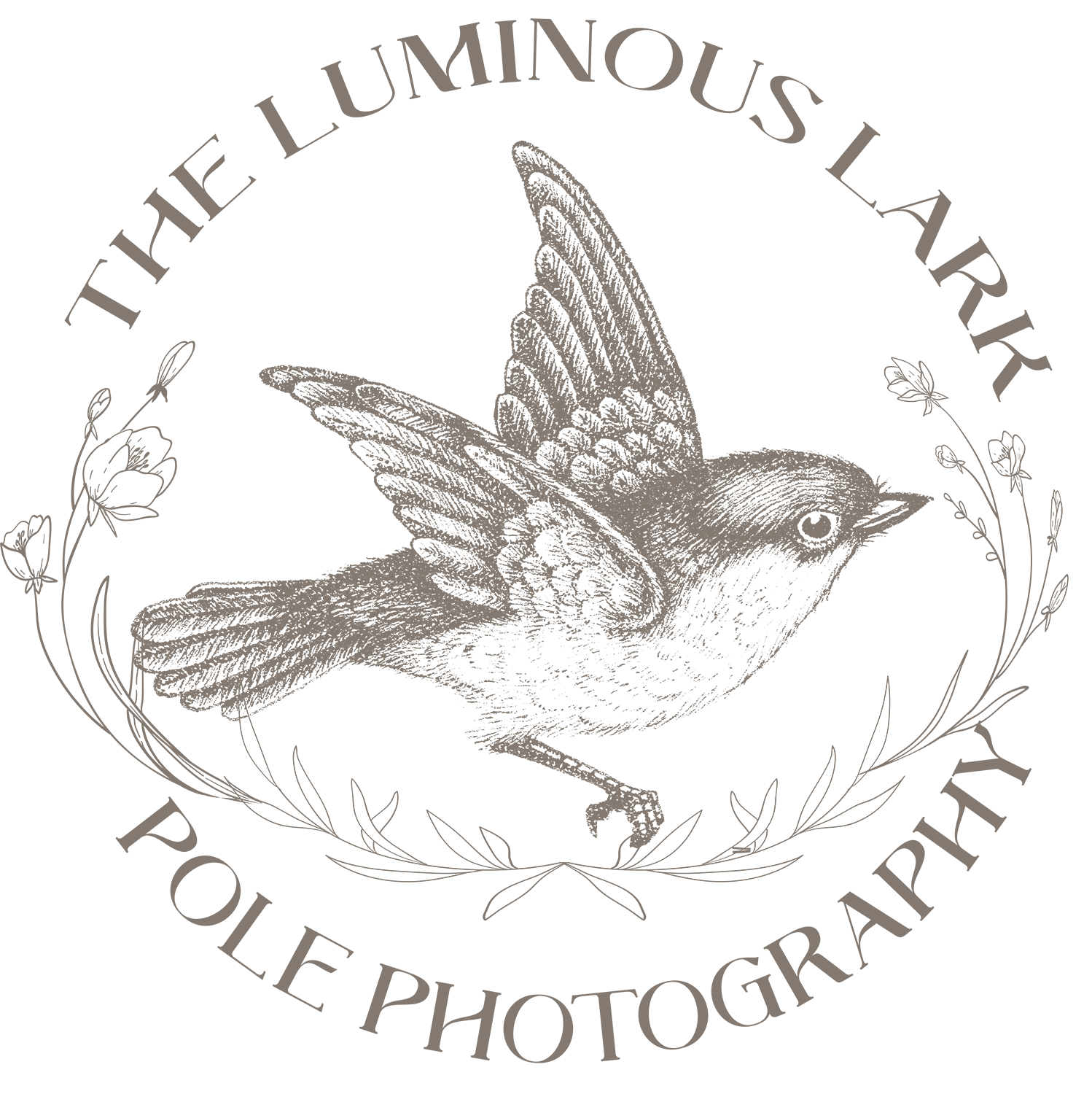 The Luminous Lark